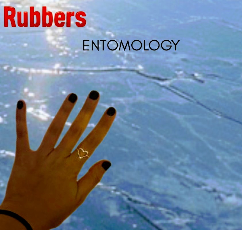The Rubbers' album